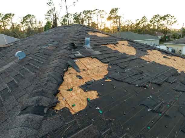 Best Roof Coating and Sealing  in Redondo Beach, CA