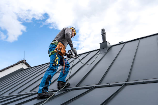 Best Skylight Installation and Repair  in Redondo Beach, CA
